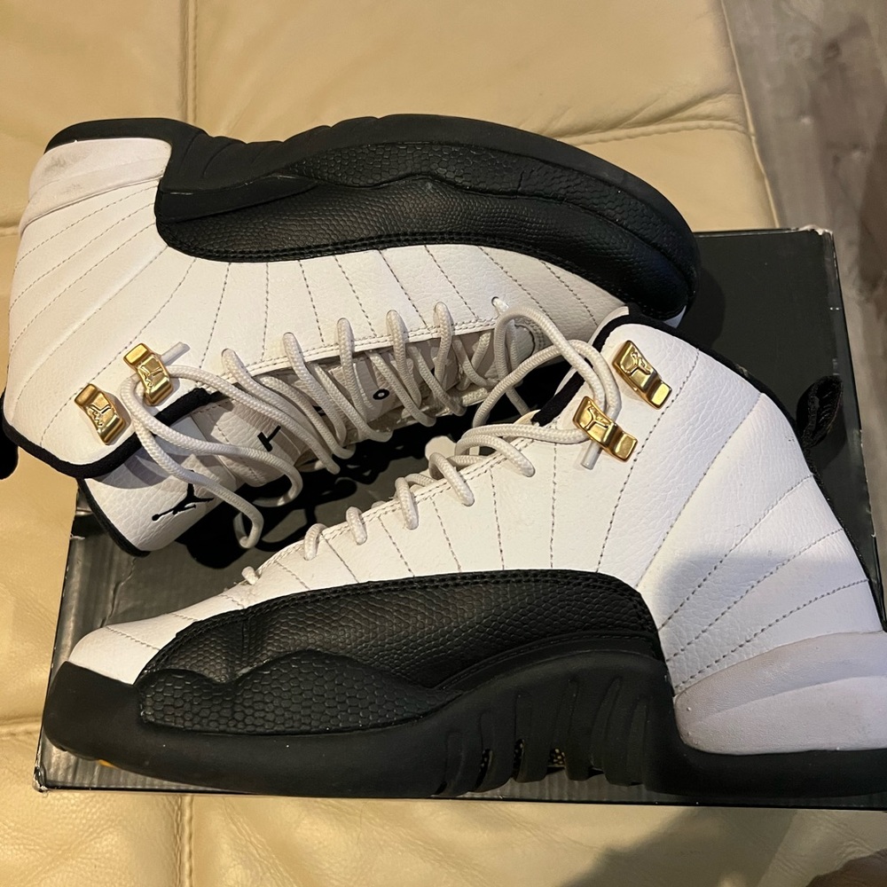 Air Jordan Taxi 12s